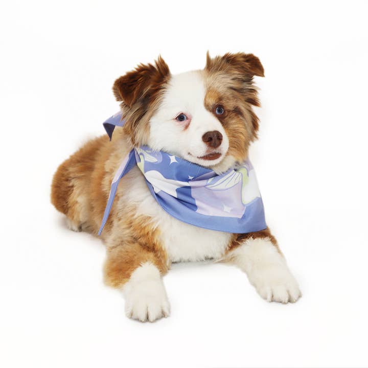 Ruby Scarf for wholesale by Daisy by Shelby