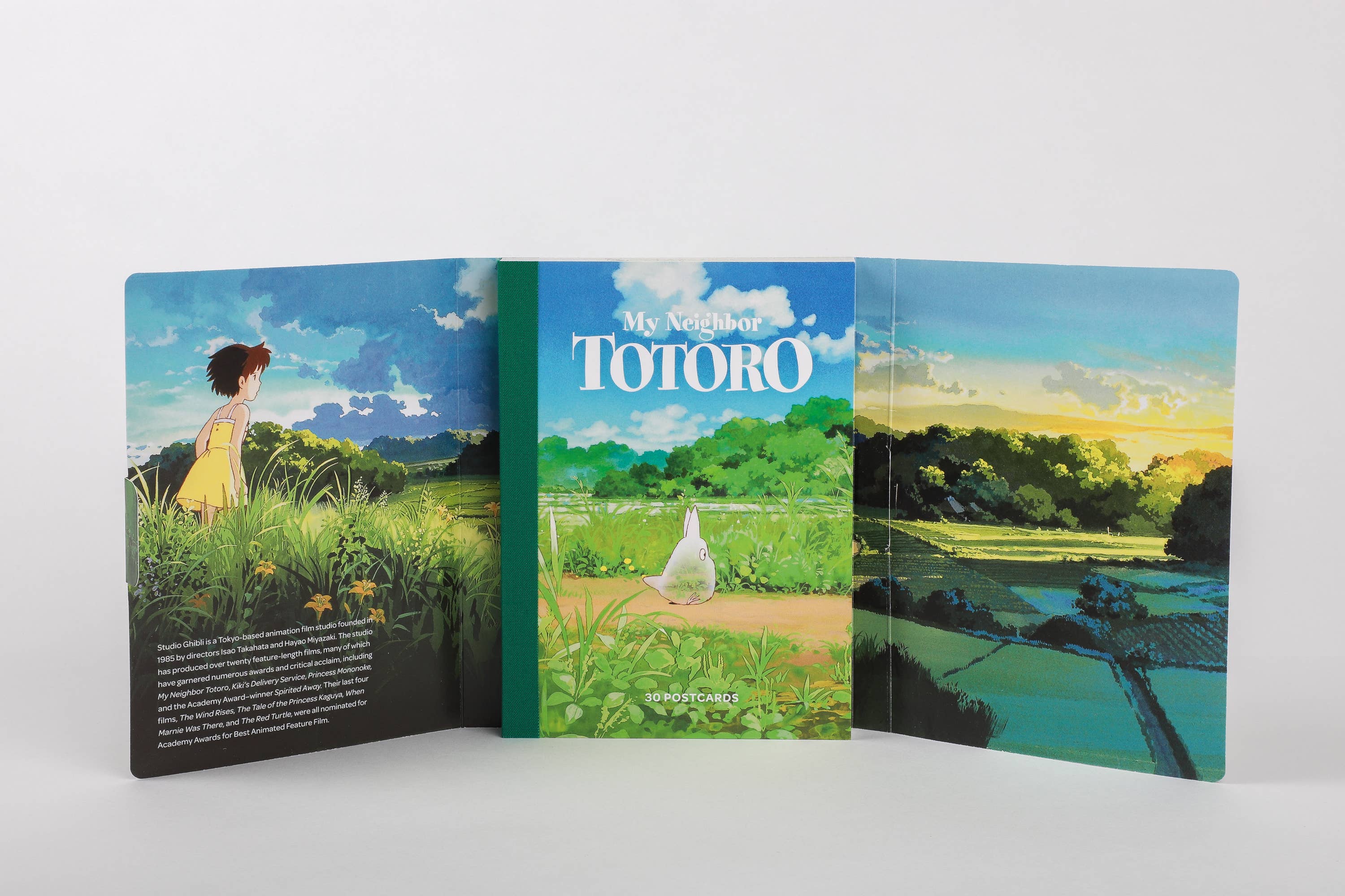 Chronicle Books - Wholesale Postcard Set - Studio Ghibli My Neighbor Totoro: 30 Postcards4
