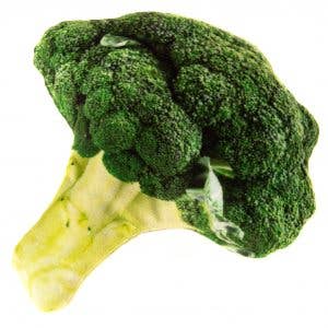 Natural Cat Toy - Wholesale Pet Toy - Cat - Catnip Jumbo Broccoli Cuddle Toy