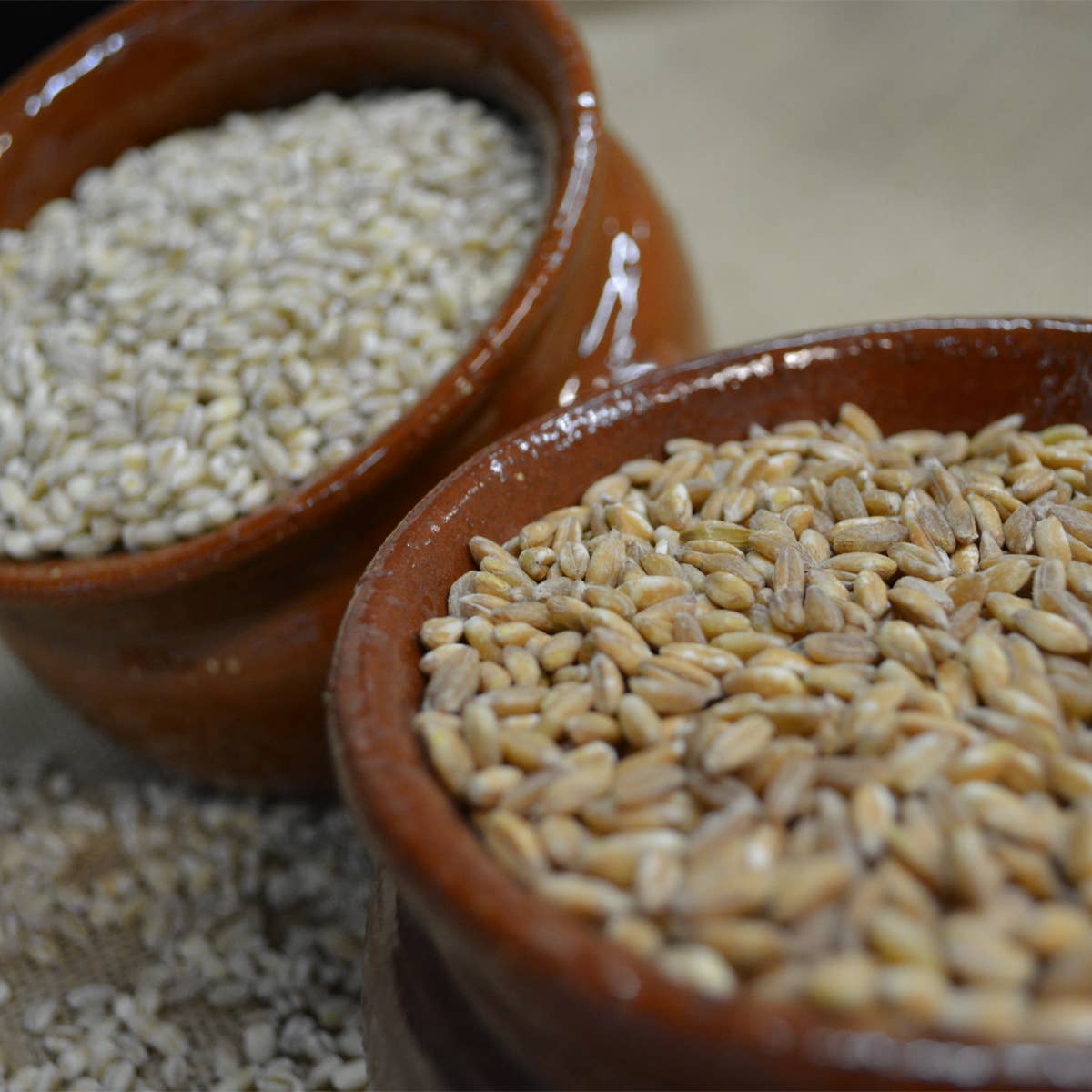 A.G.R. s.r.l. – Engroshandel Fuldkorn – ØKOLOGISK perlespelt 400g. [Kun EU]5