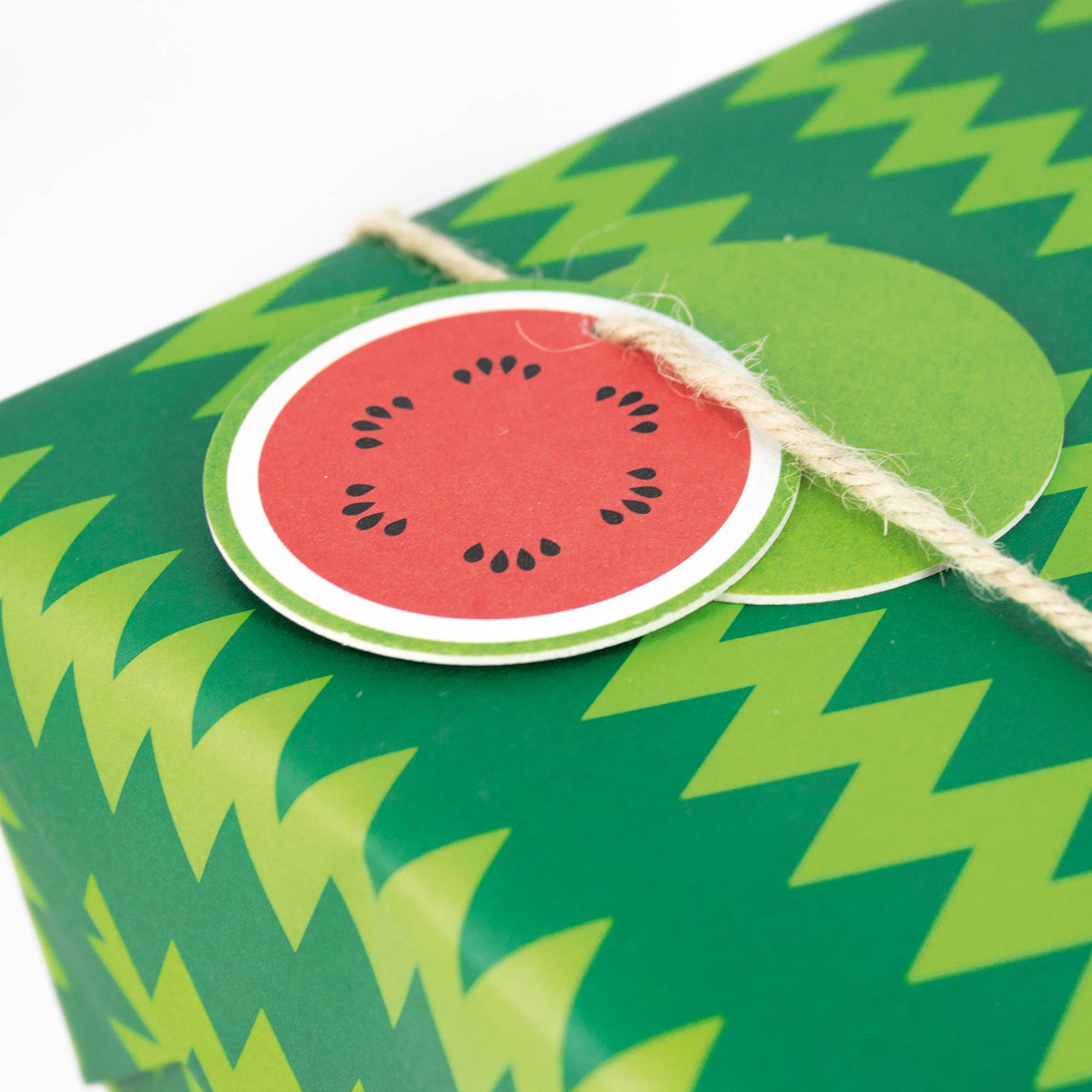 Bow & Hummingbird - Wholesale Wrapping Paper Roll - Watermelon wrapping paper1