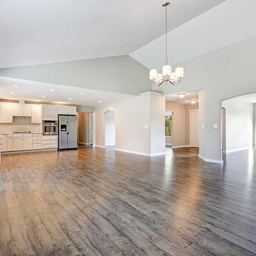 BiOHY - Wholesale Oral Supplement/Vitamin - BiOHY laminate cleaner, laminate cleaner, floor cleaner, laminate care, B2B6