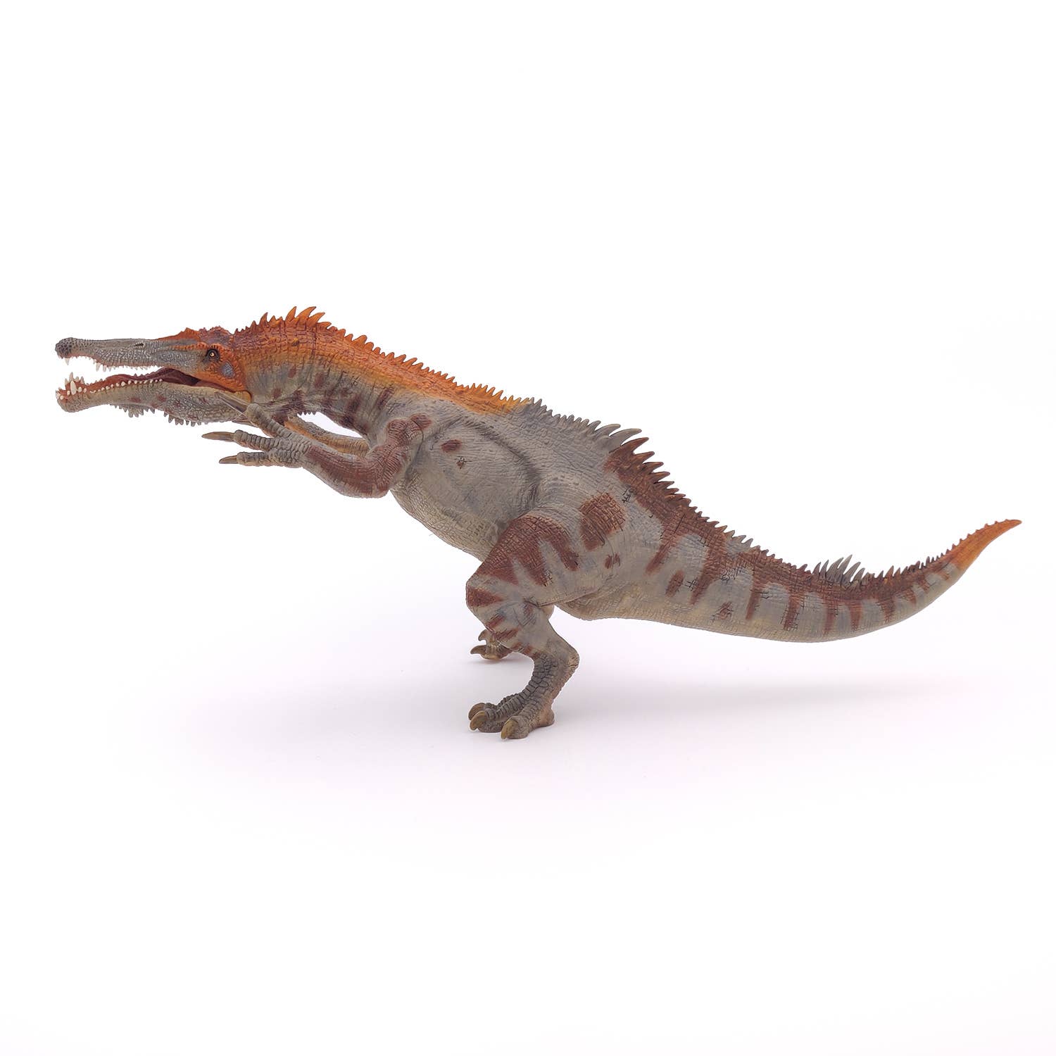 Papo - Wholesale Figurine Toy - Kids - Baryonyx1