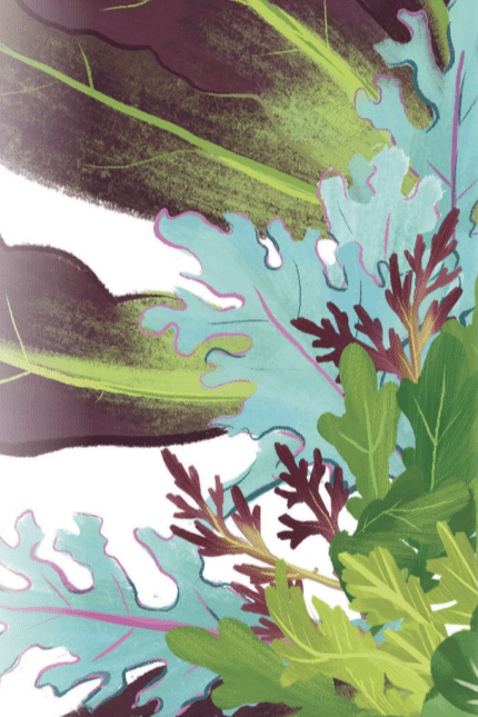 Sow True Seed - Wholesale Plant Seeds - Mixed Greens Seeds - Spicy Mesclun Mix1