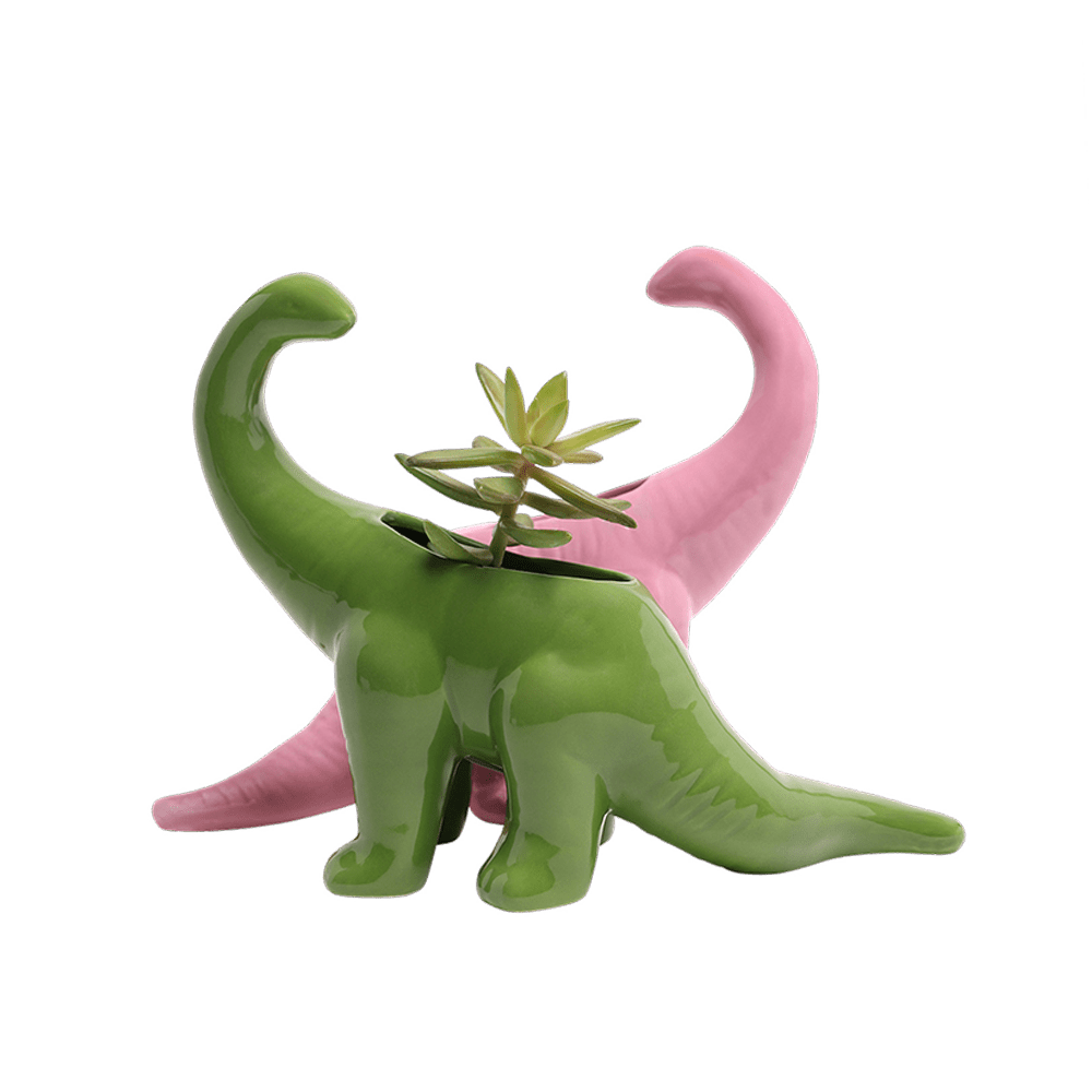 Assortiment de 24 pièces n°2 Kits de pots de plantes d'intérieur en céramique dinosaure en vente sur Faire5