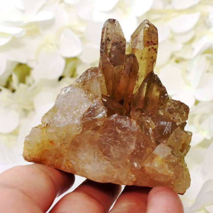 New! 100% Natural & Unique Brazilian Citrine Crystal Raw Cluster Points Piece 260g Inc Luxury Gift Box & Benefits Tag for wholesale by Reiju