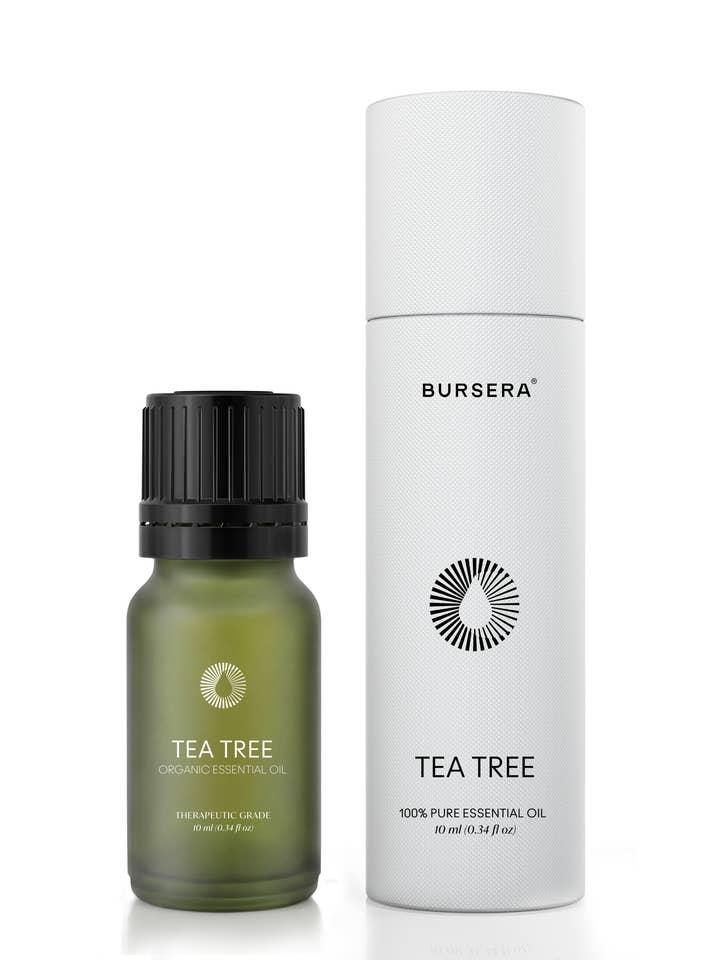 Olio essenziale di albero del tè biologico per la vendita all'ingrosso da parte di Bursera