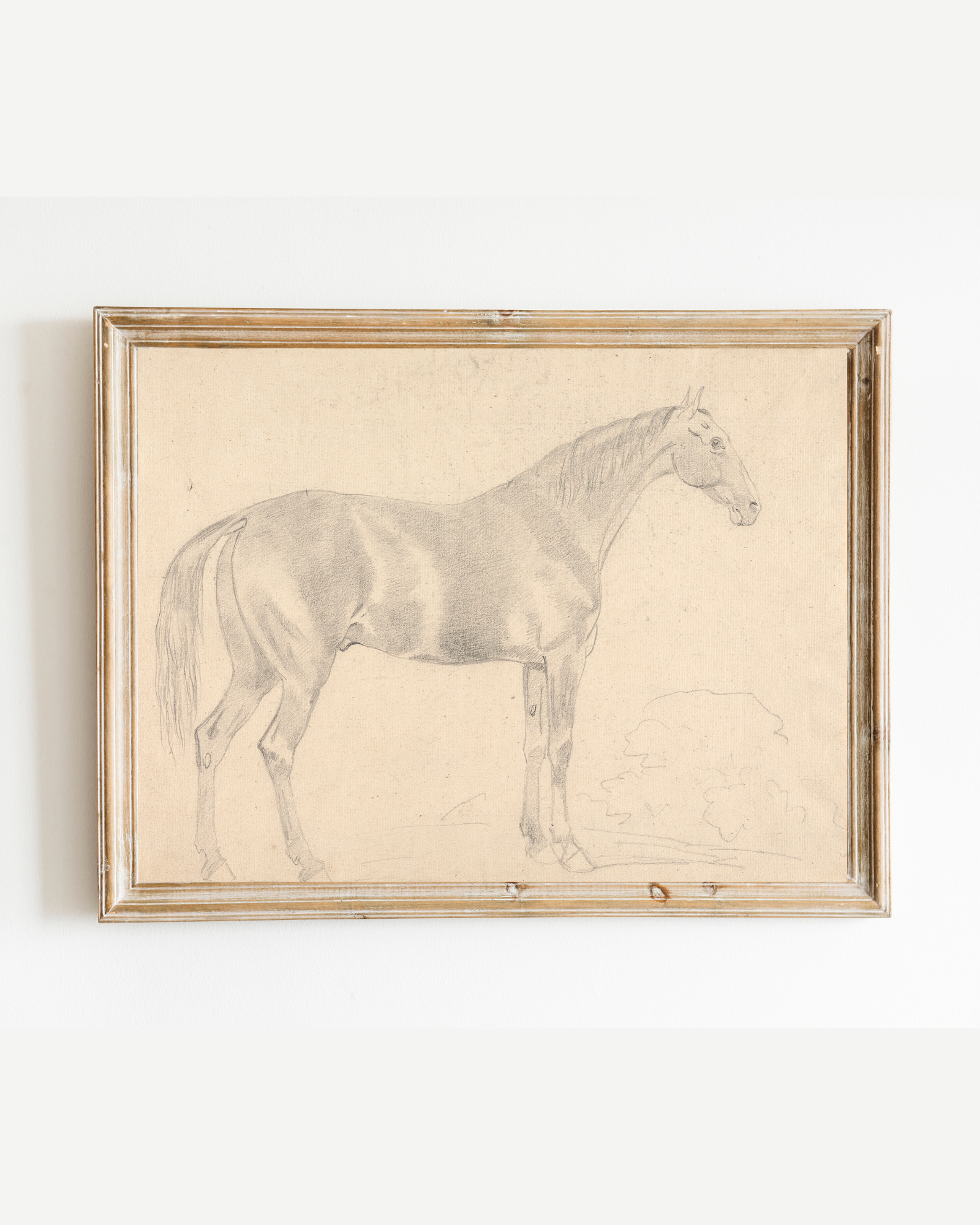 Sea to Skye - Wholesale Art Print - A Horse Facing Right Sketch Antique Art Print3