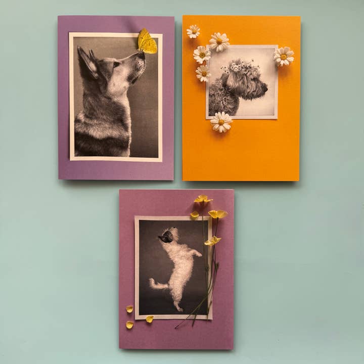Pet Memorial card pack for wholesale by Remember Me As Sunshine