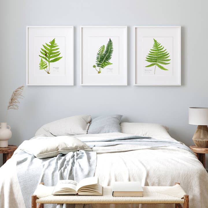 Studio Tuesday – Großhandel Kunstdruck – Botanischer Aquarelldruck des Zimt-Farns3