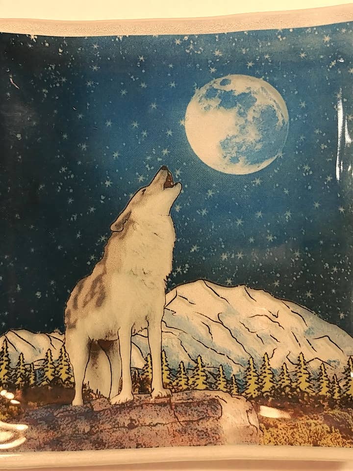 Wolf bei Nacht quadratischer Teller / Schale für den Großhandel von Pampeana