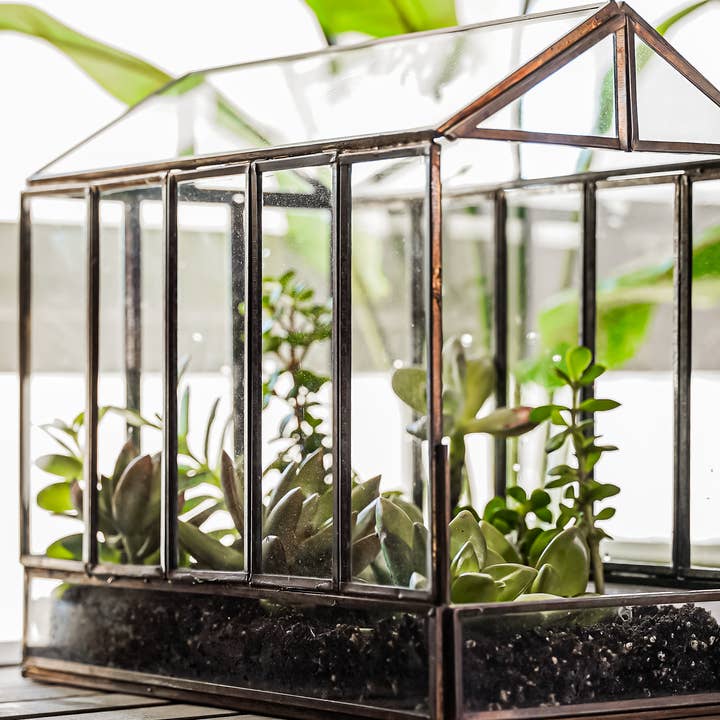 Urban Born Drivhus Terrarium Glas+Metal, Bronze, 10x7x10" for engroshandel hos Urban Born