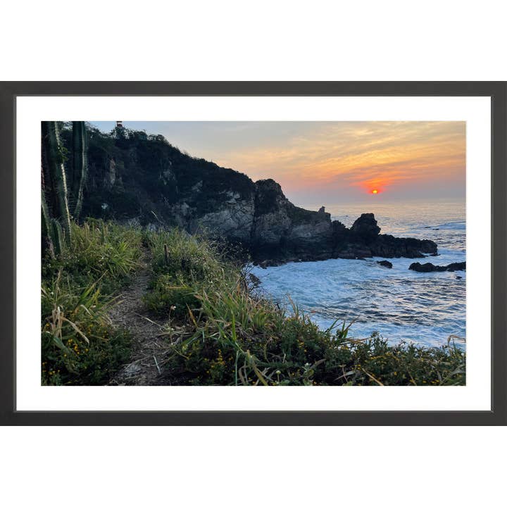 Kaktus for engroshandel hos Oceanafy