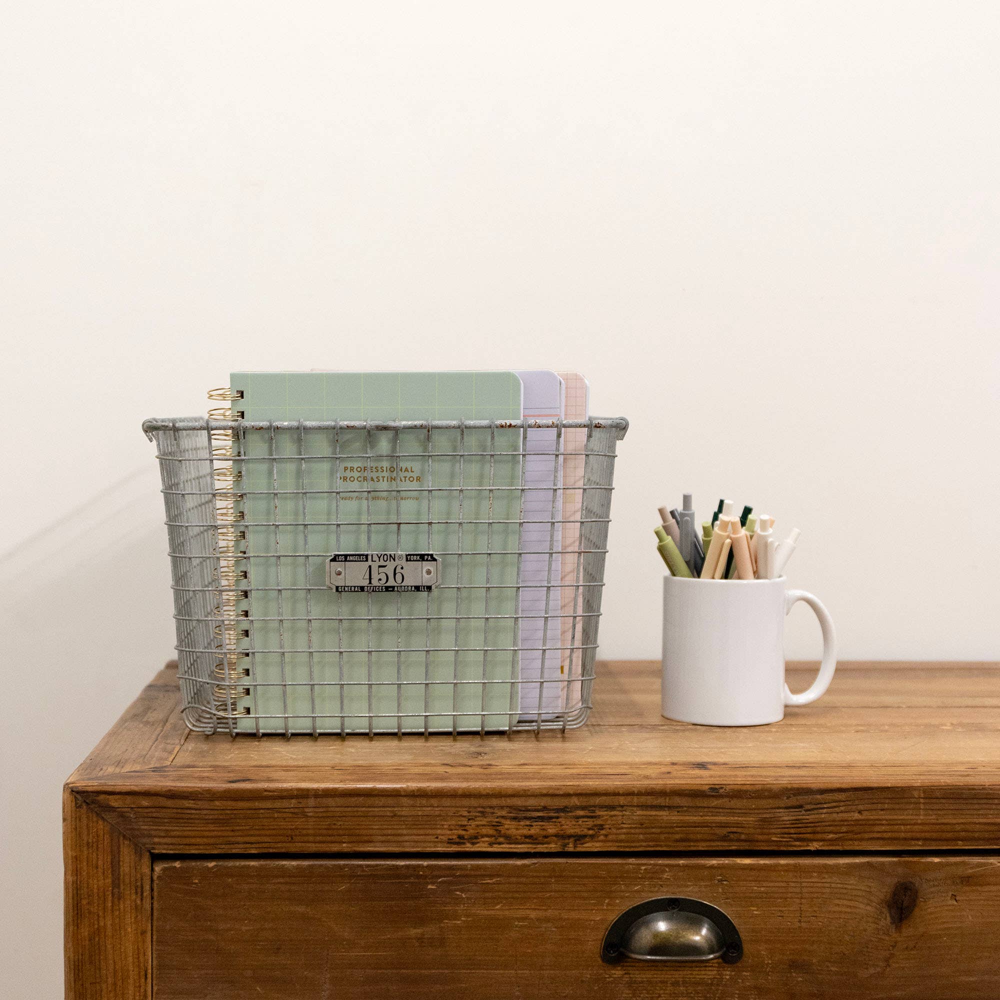 Studio Calico - Wholesale Notebook - Professional Procrastinator Spiral Notebook3