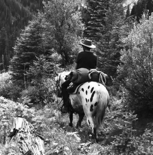 Soap Farmacy - Wholesale Bar Soap - Bison Tallow + Organic Goat Milk Soap, Coffee + Cream4