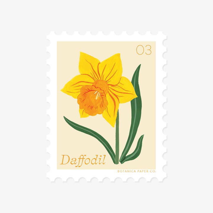 Botanica Paper Co. - Wholesale Sticker - DAFFODIL, MARCH FLOWER | STAMP-STYLE VINYL STICKER