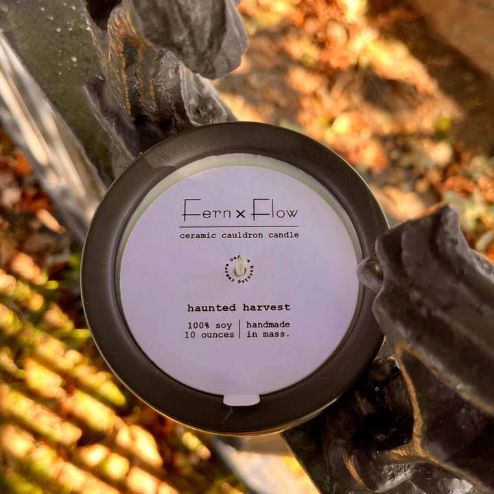 Fern x Flow Soy Candles + Home Fragrance - Wholesale Jar/Filled Candle - Halloween Cauldron Candle, Ceramic Soy Candle & Decor - 10oz3