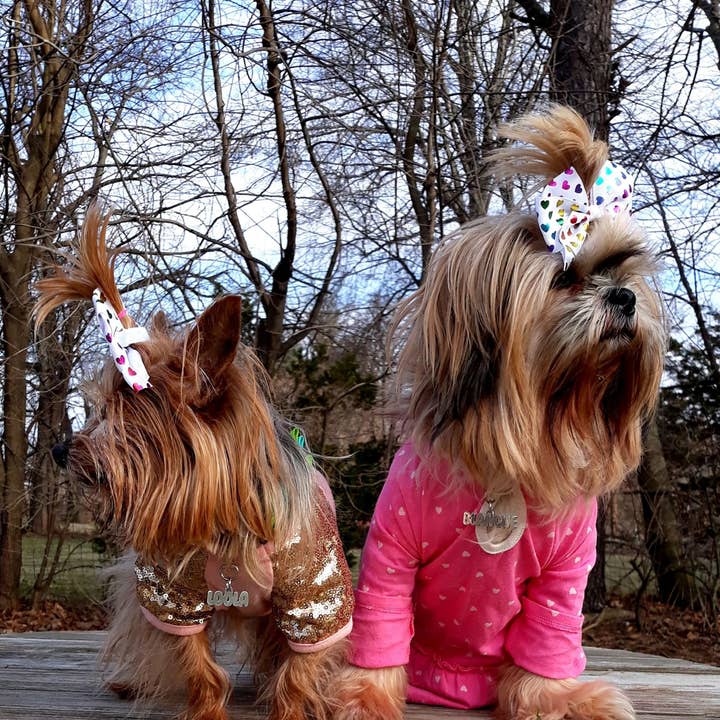 Tres Carmela - Wholesale Pet collar charm – Cat/dog - Personalized Dog or Cat Tag Pendant Sterling12