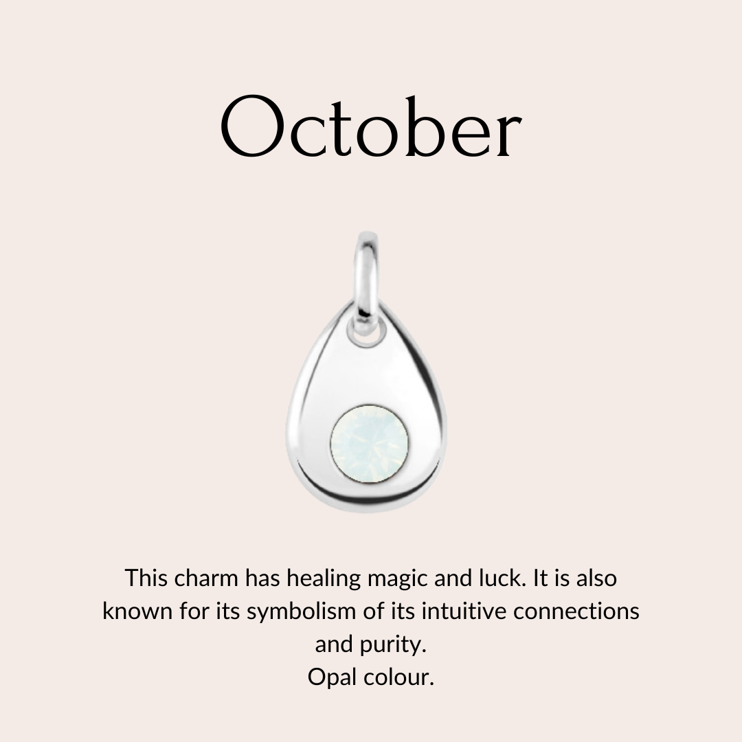 Skylos Collective - Wholesale Pet Collar Charm - Cat/Dog - Sterling silver birthstone collar charm12