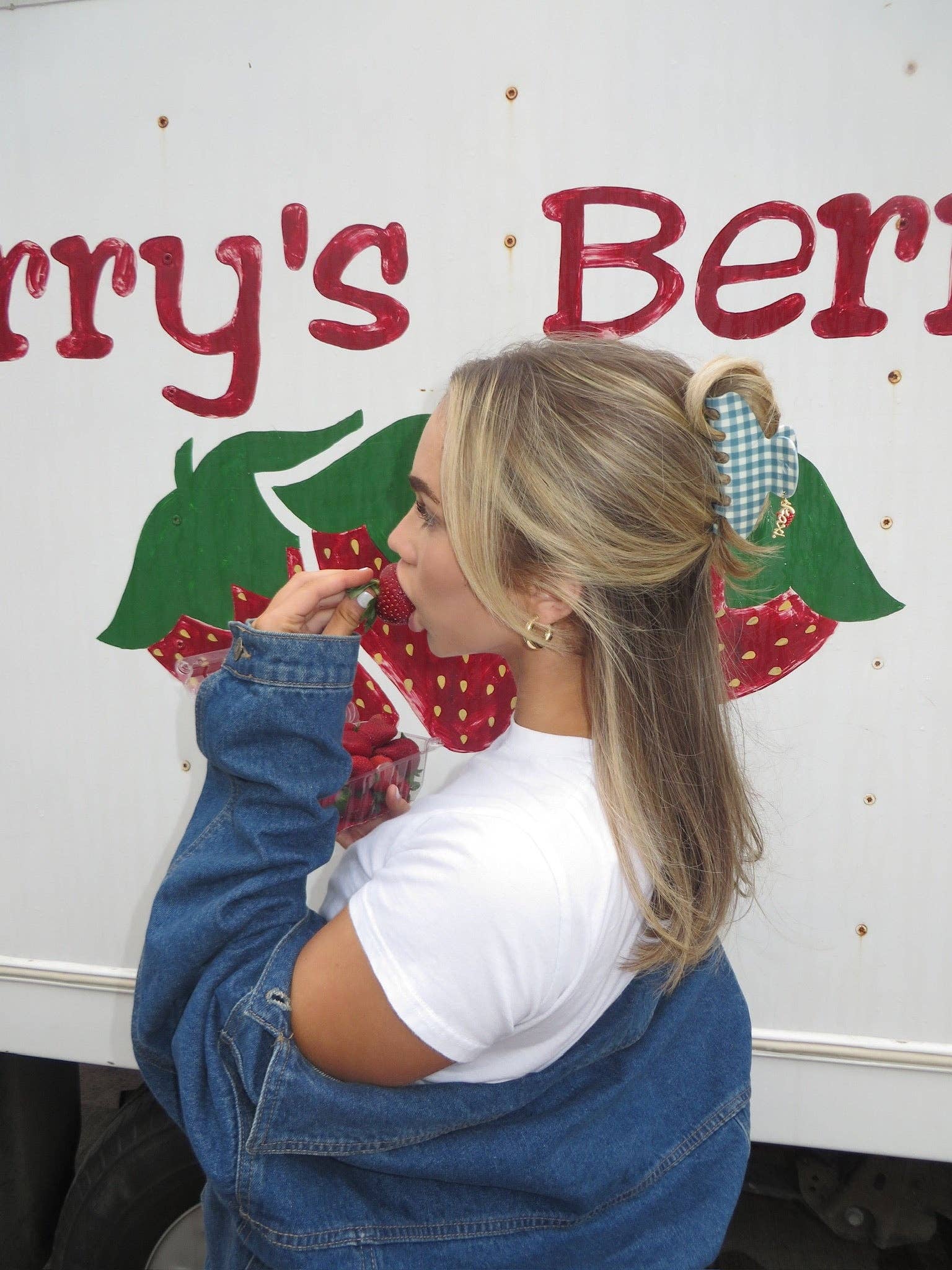 KAXI - Wholesale Hair Clip - Women's - BLUE GINGHAM STRAWBERRY CHARM CLAW7