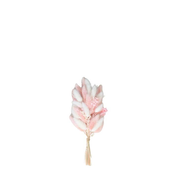 Small Bundle – Dried Flowers – Blush - 22 cm voor wholesale door Wildflowers by Floriette