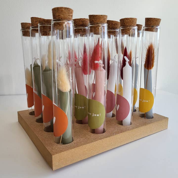 SEQ LIFESTYLE - Wholesale Party Favor - Gift Tubes Light