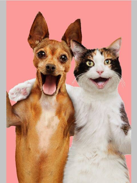 Birthday Humorous | AGRP | SM | 6968969 for wholesale by DICKENS INC.