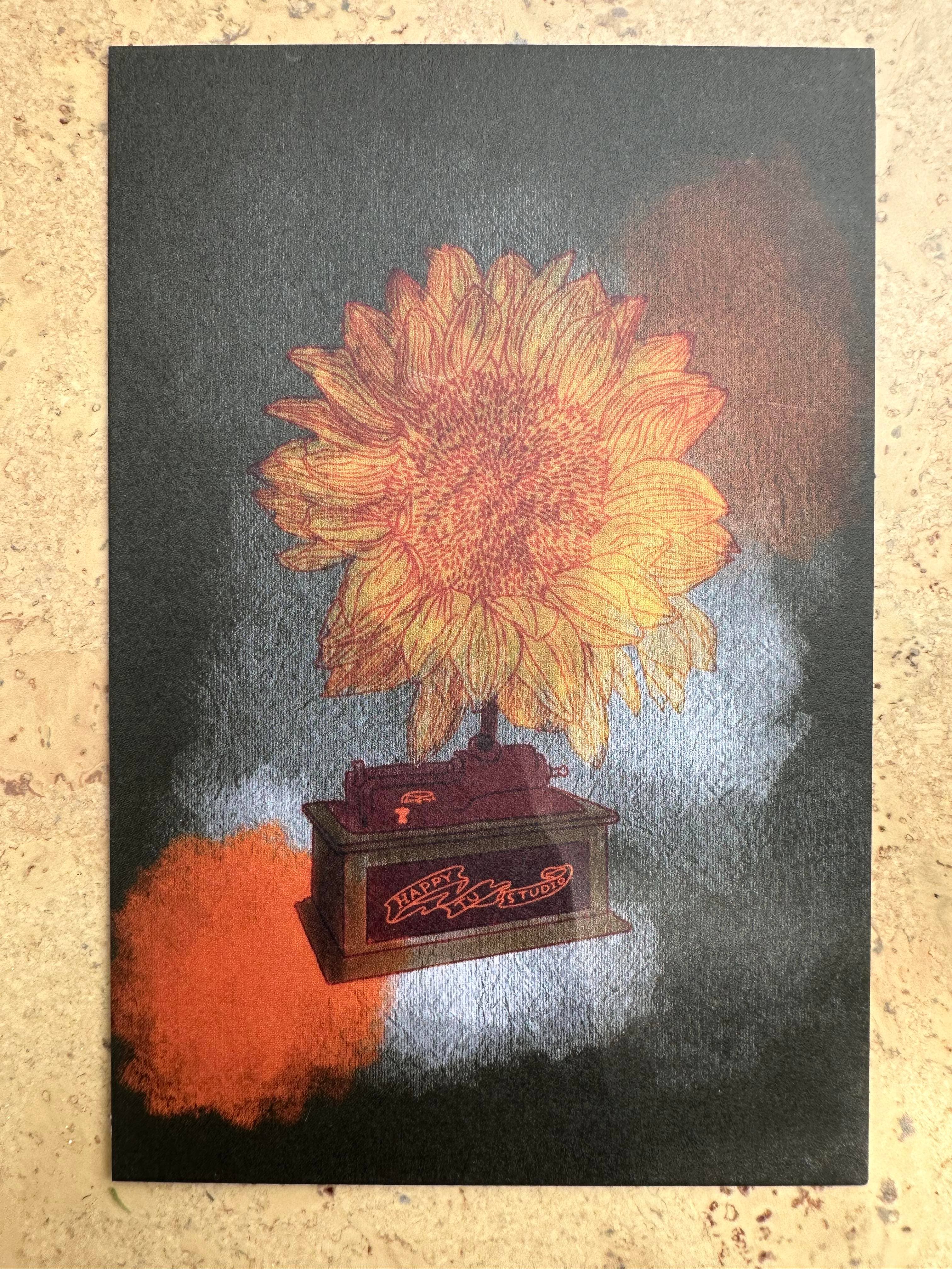 AVIVA TU LLC - Wholesale Stationery/Notecard Set - Notecards-Botanical Music Instruments15