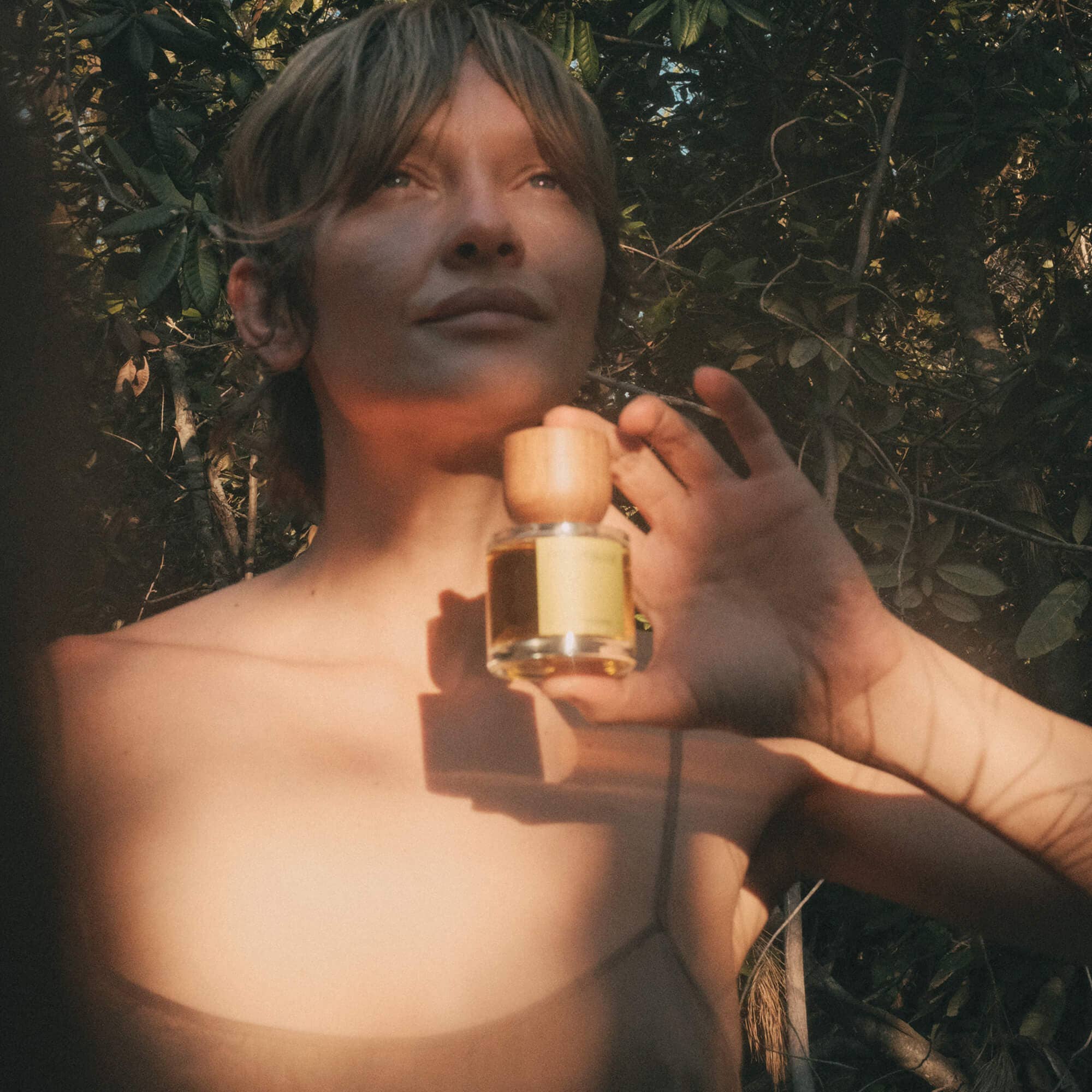 Paraphrase Perfume - Wholesale Perfume/Eau de Toilette - SOFT WOODS | CRISP CONIFER WOODS4