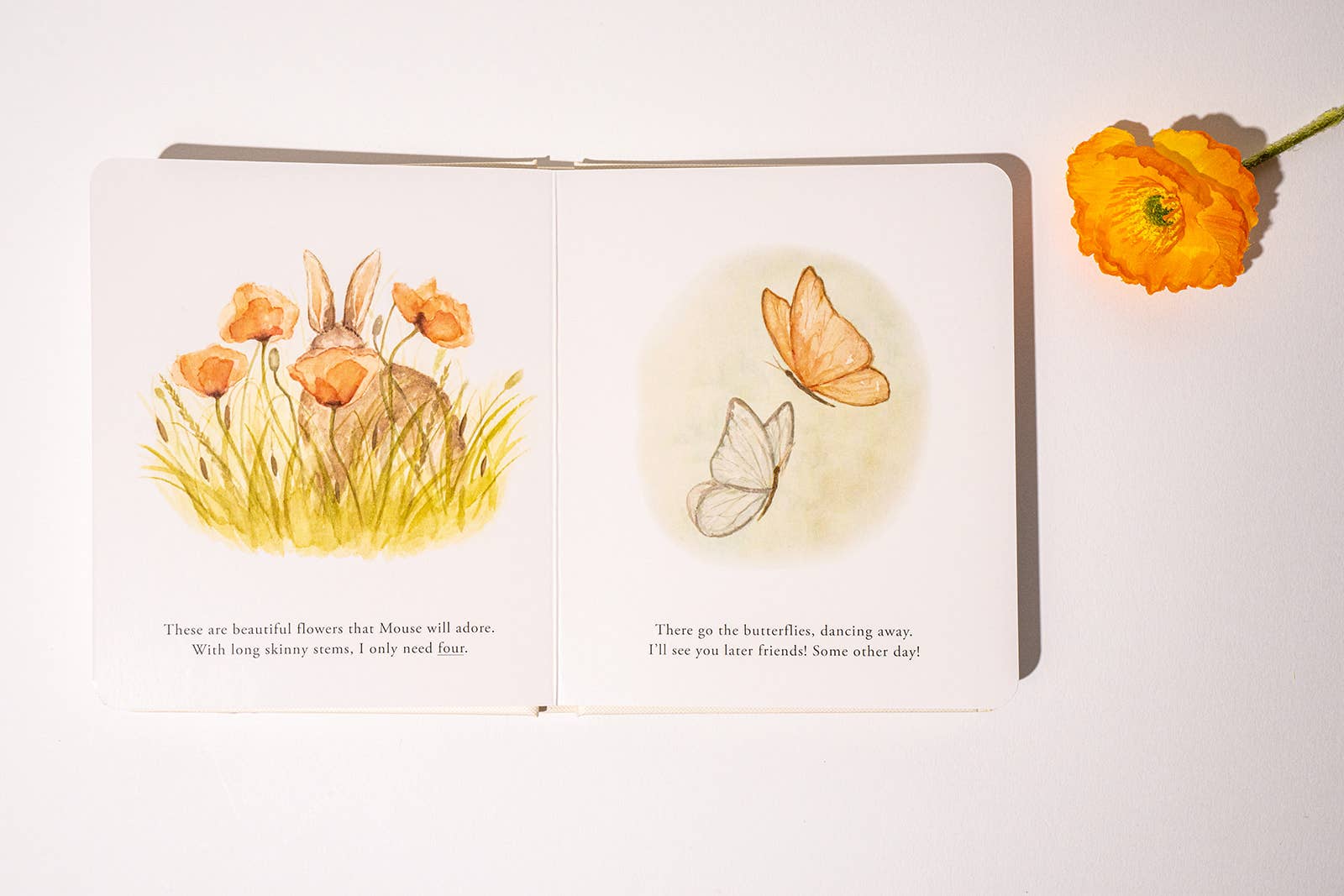 Paige Tate & Co. - Vente Livre pour bébés et tout-petits (jusqu'à 2 ans) - Notre coffret de livres cartonnés "Nos petites aventures" pour enfants1