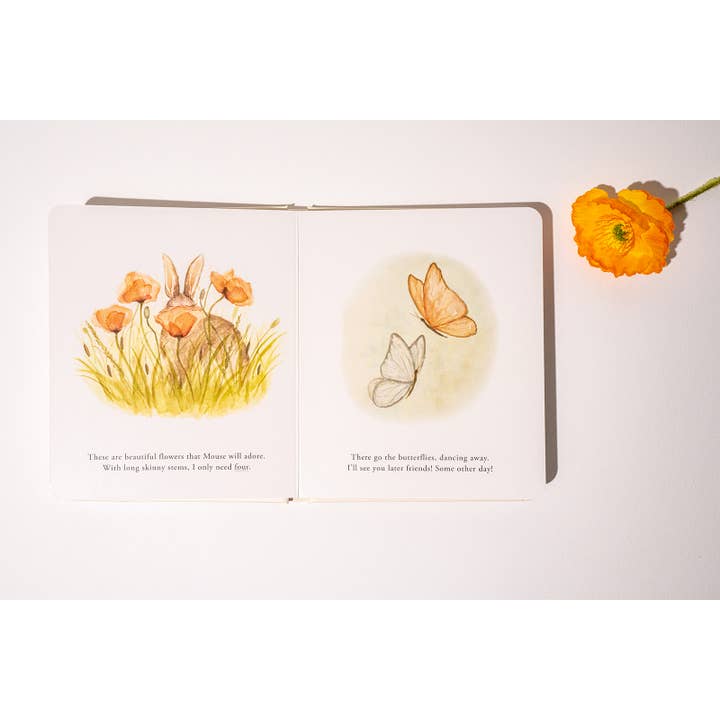 Paige Tate & Co. – wholesale Baby- och småbarnsbok (0–2) – Våra små äventyr: Brädbokboxset för barn1