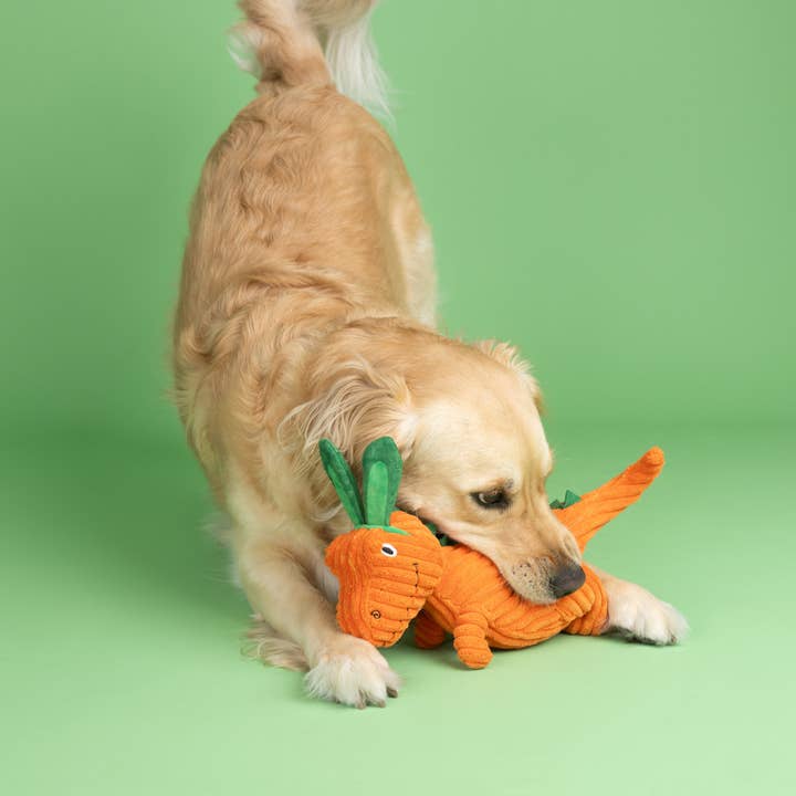 Petshop by Fringe Studio - Wholesale Pet Plush Toy - Dog - CARROT BOUT YOU PLUSH DOG TOY