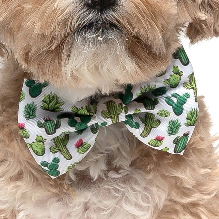 CACTUS - NŒUD PAPILLON POUR CHIEN pour la vente par DAPPER DEXTER