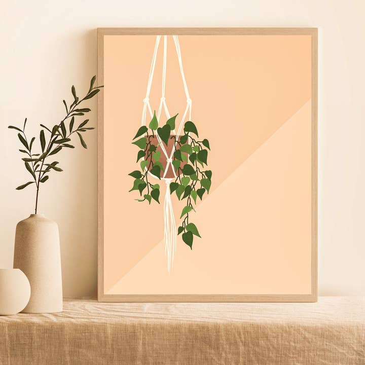 Pothos for wholesale by AIKA & Co.