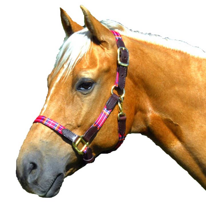 Intrepid International - Wholesale Horseback Riding Gear - 1" Highland Plaid Nylon Halter with Leather Accents