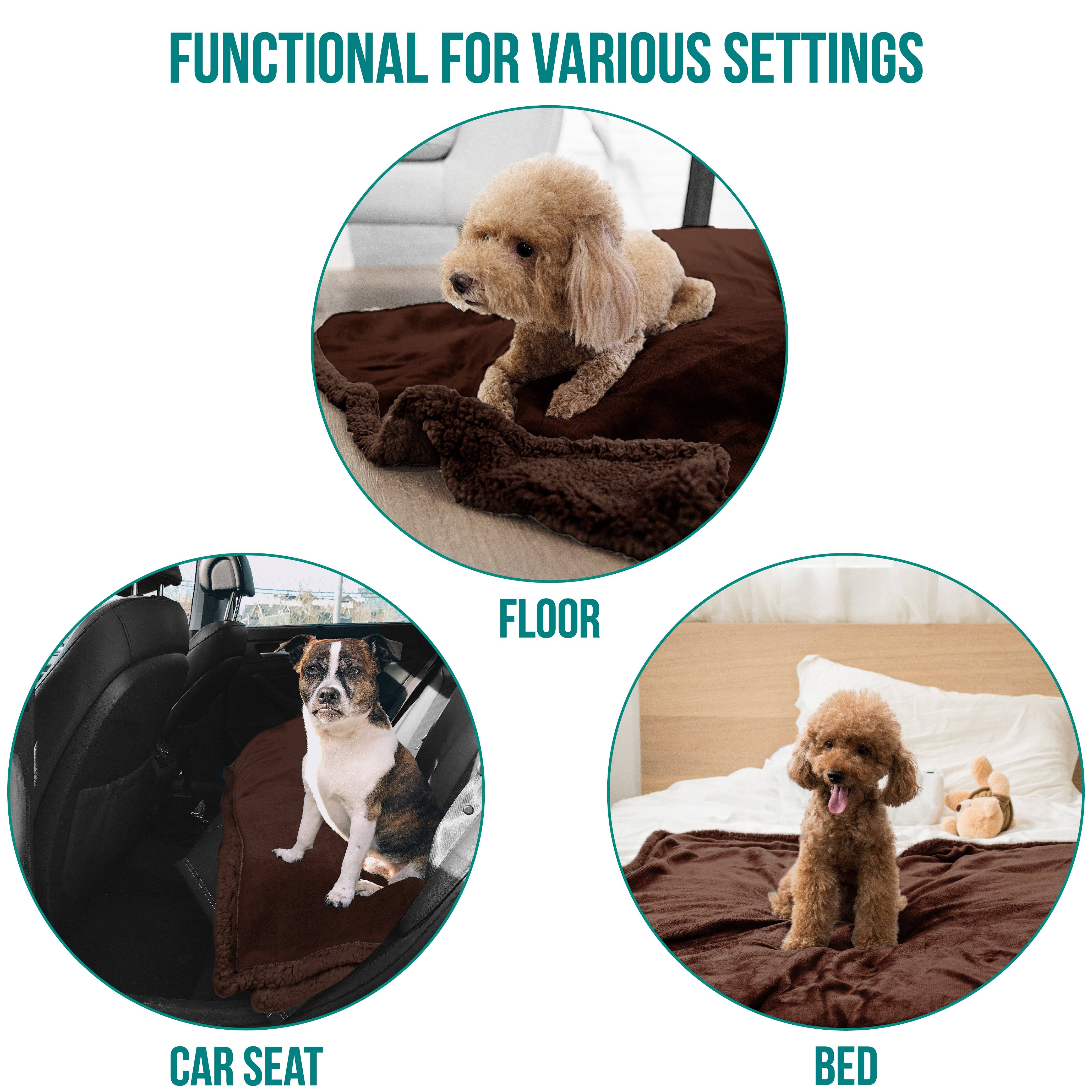 PetAmi - Vente Couverture – chat et chien - Couverture pour animaux en polaire réversible119