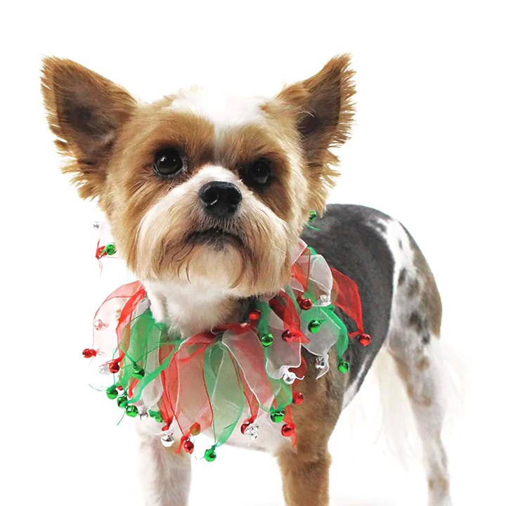 Midlee Designs - Wholesale Pet collar – Dog - Midlee Christmas Jingle Bells Decorative Dog Collar1