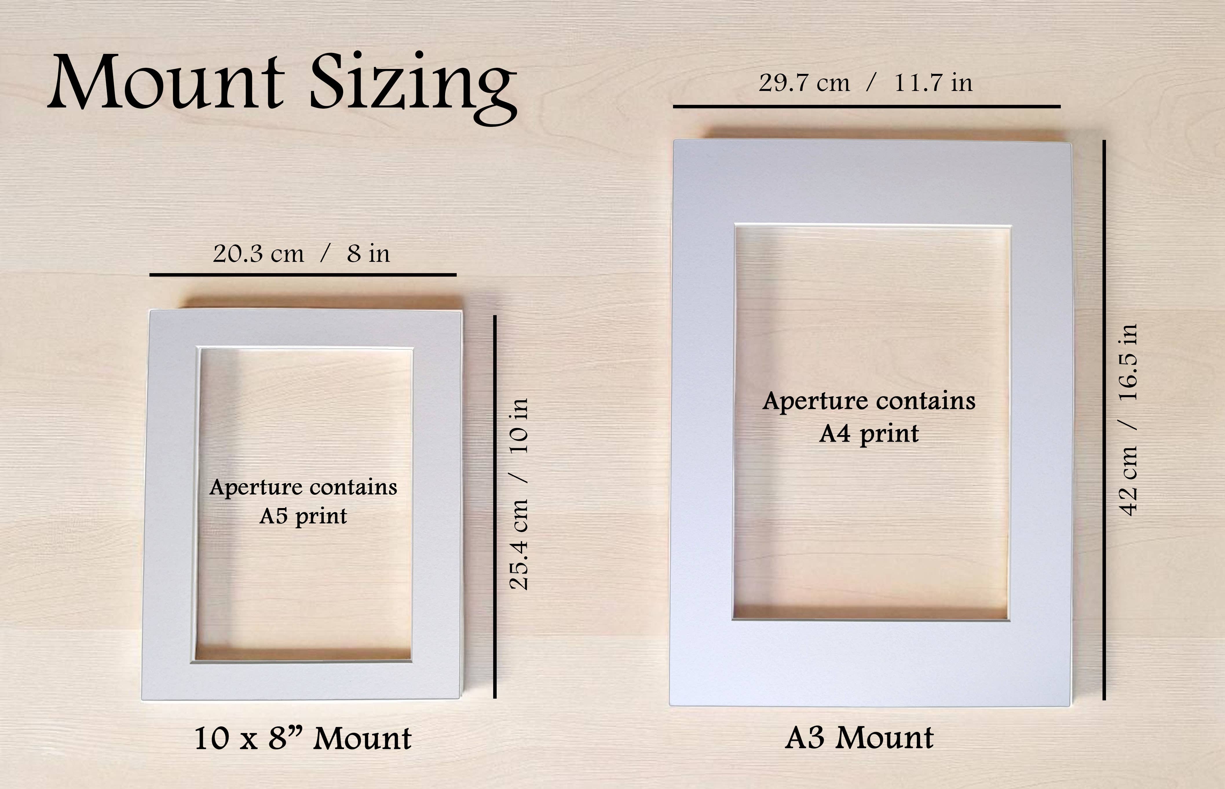 Beyond the Shelf – wholesale Art print – The Metamorphosis, Franz Kafka, Book Quote Art6