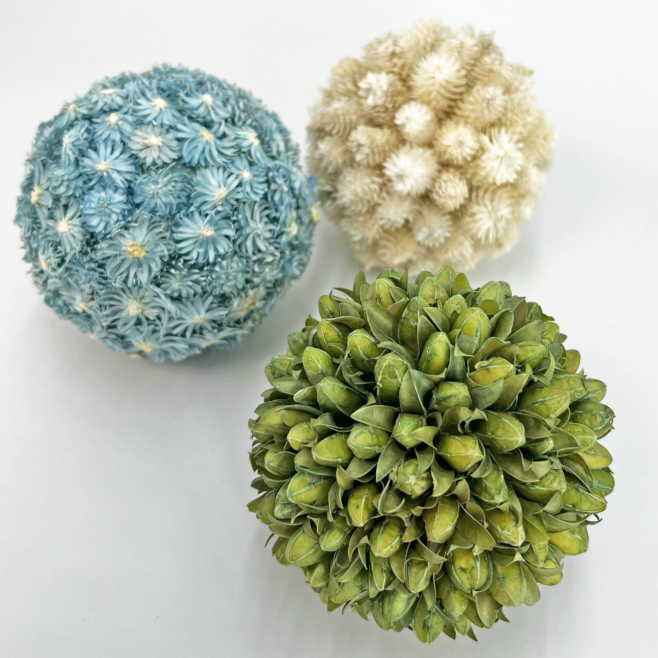 2626 Designs - Wholesale Decorative Tabletop Object - 3 Handmade Preserved Natural Floral Topiary Balls 3