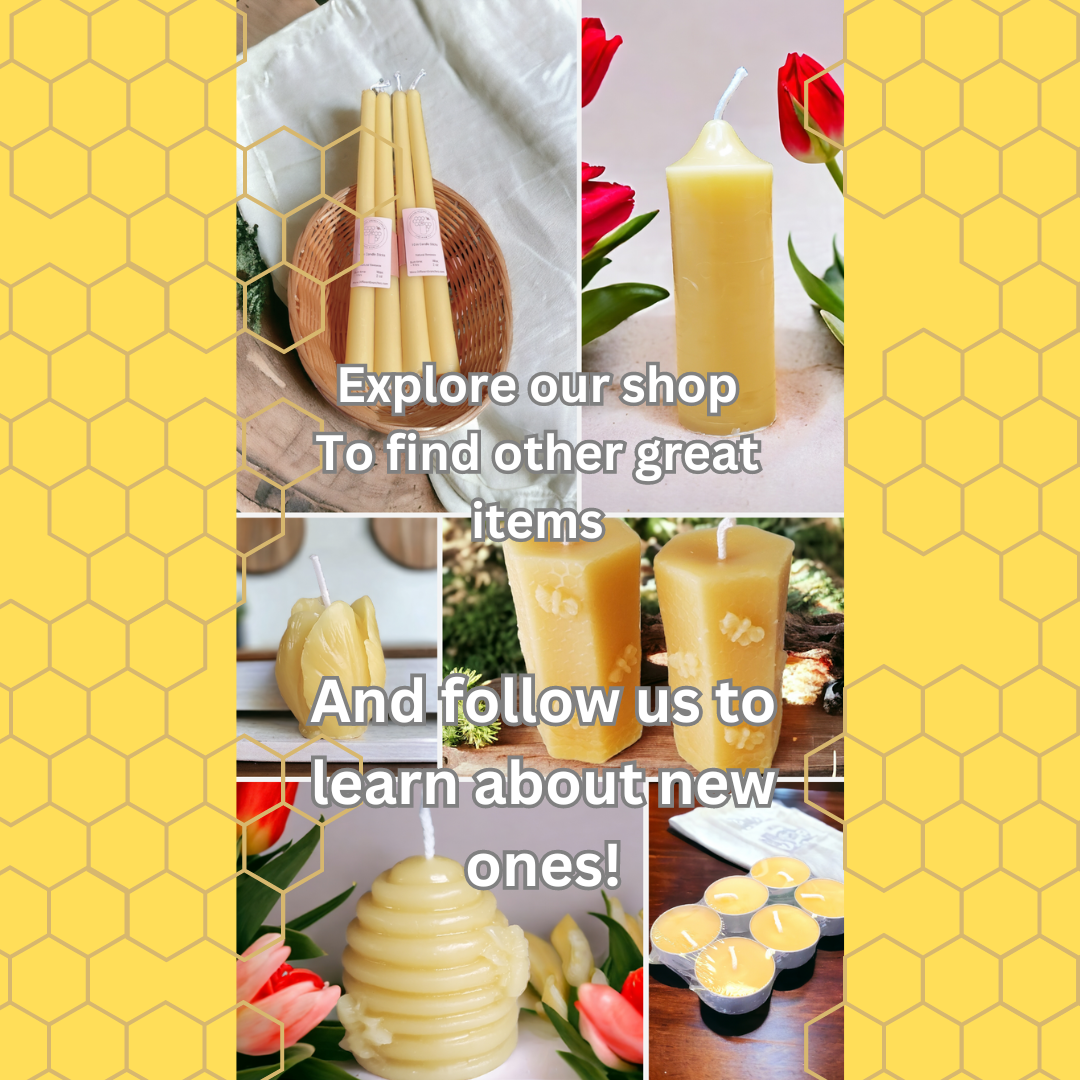 Different Branches - Wholesale Novelty Candle - Handmade in Ohio Single pure beeswax beehive candle no drip8