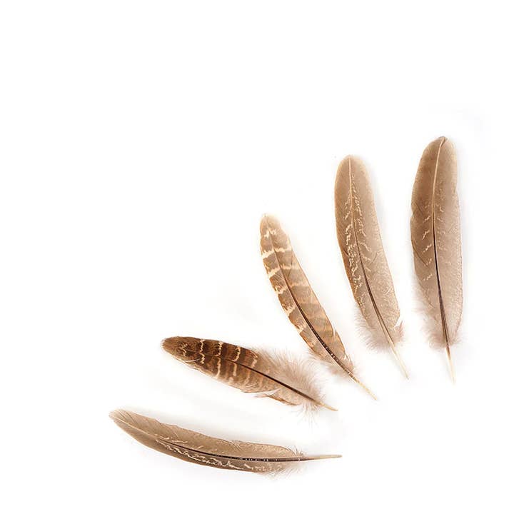 Zucker Feather Products – material para artesanato por atacado – Ringneck Penas Redondas de Faisão - Natural2