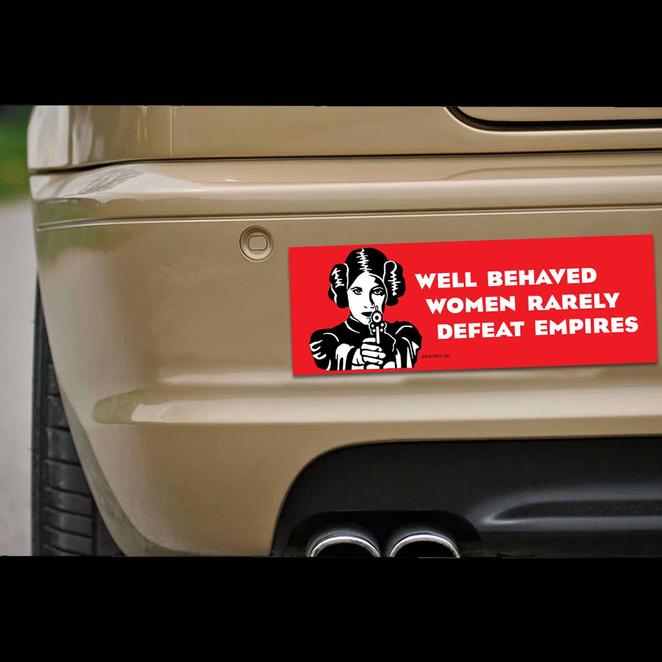 High Cotton Gifts - Wholesale Magnet - Women Defeat Empires Car Magnet1