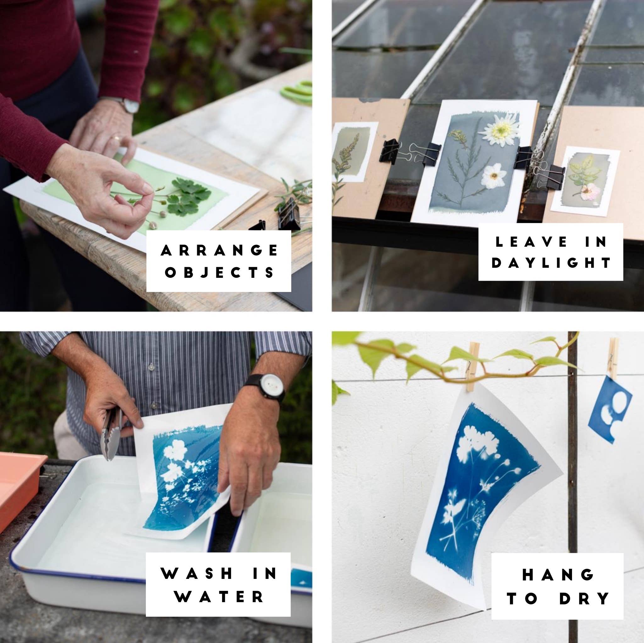 The Wild Darkroom – wholesale DIY craft kit – Cyanotype Printing Paper A46