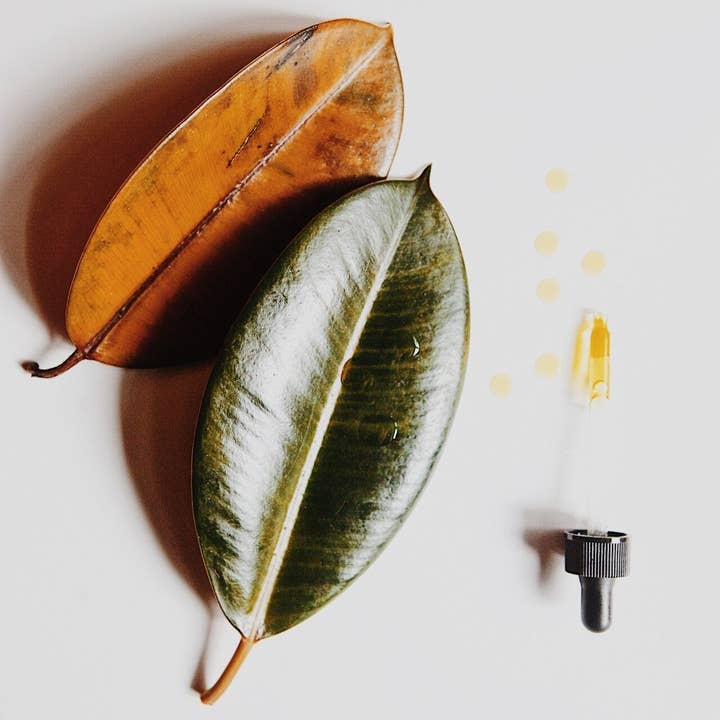 Merin Kind - Wholesale Bath/Body Oil - 100% Pure Baobab Oil - Cold Pressed, Organic, and Unrefined1