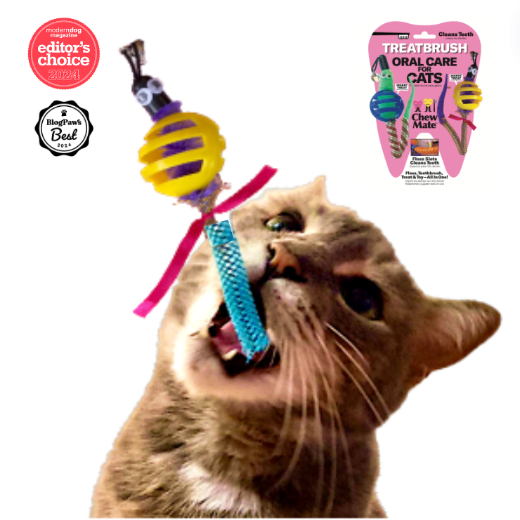 ChewMate™ Pet Oral Care and Wellness – wholesale Tuggleksak för hund - Hund – Kattboll TREATBRUSH Grossist Dubblar Mässa1