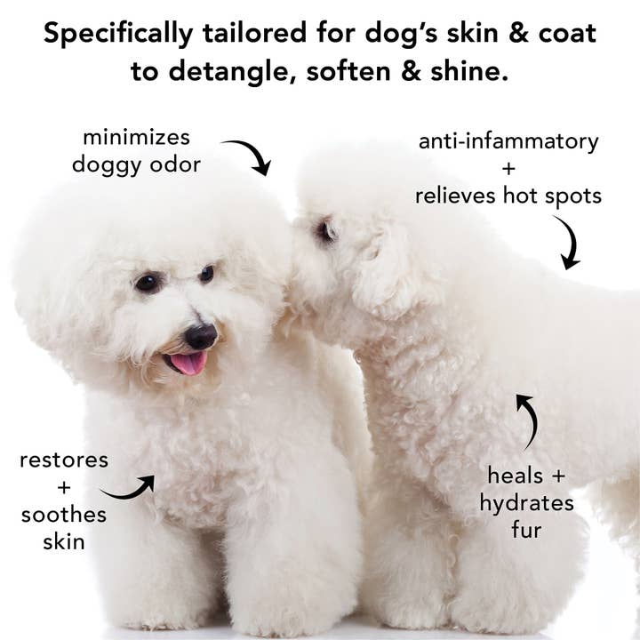 PRIDE+GROOM – Großhandel Haustiershampoo – Hund – DIE GALLONE, DIE NICHT FÜR DEN PROFESSIONELLEN GEBRAUCH GEEIGNET IST6