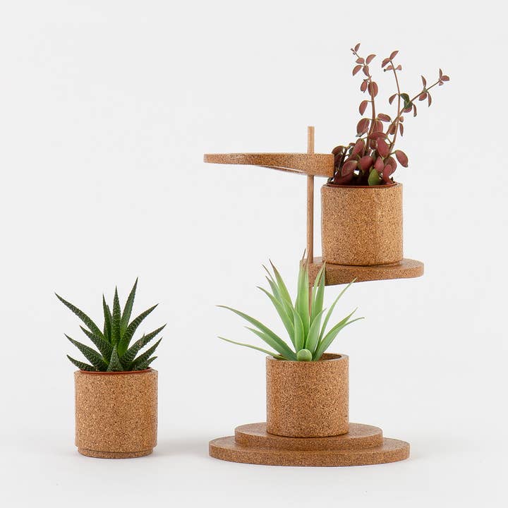 Succulent cup display for wholesale by Minimal Cork