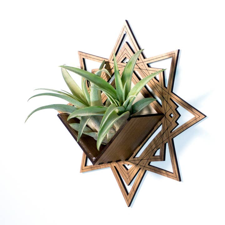 Luftväxthållare/vägghängande kruka 8 - monterad hängare för wholesale av LIGHT RAZOR DESIGN STUDIO