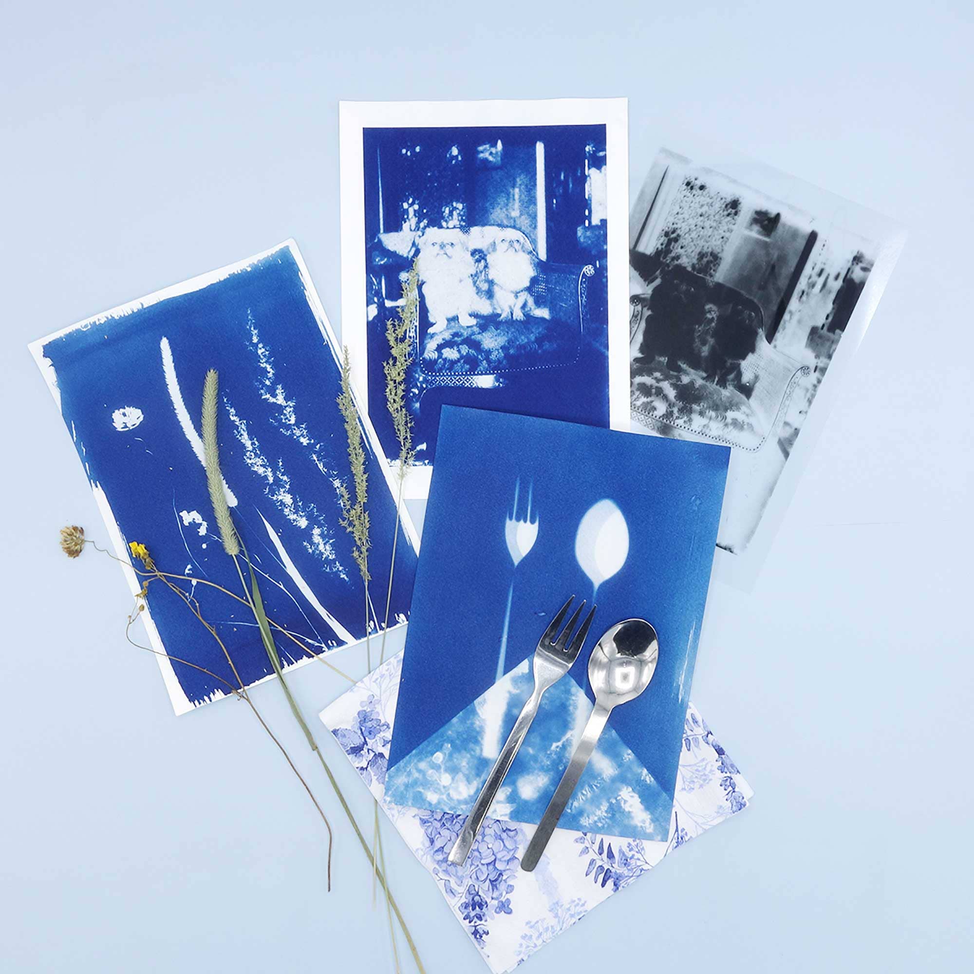 PAR - Wholesale DIY Craft Kit - DIY Cyanotype & Van Dyke Kit - Paper2