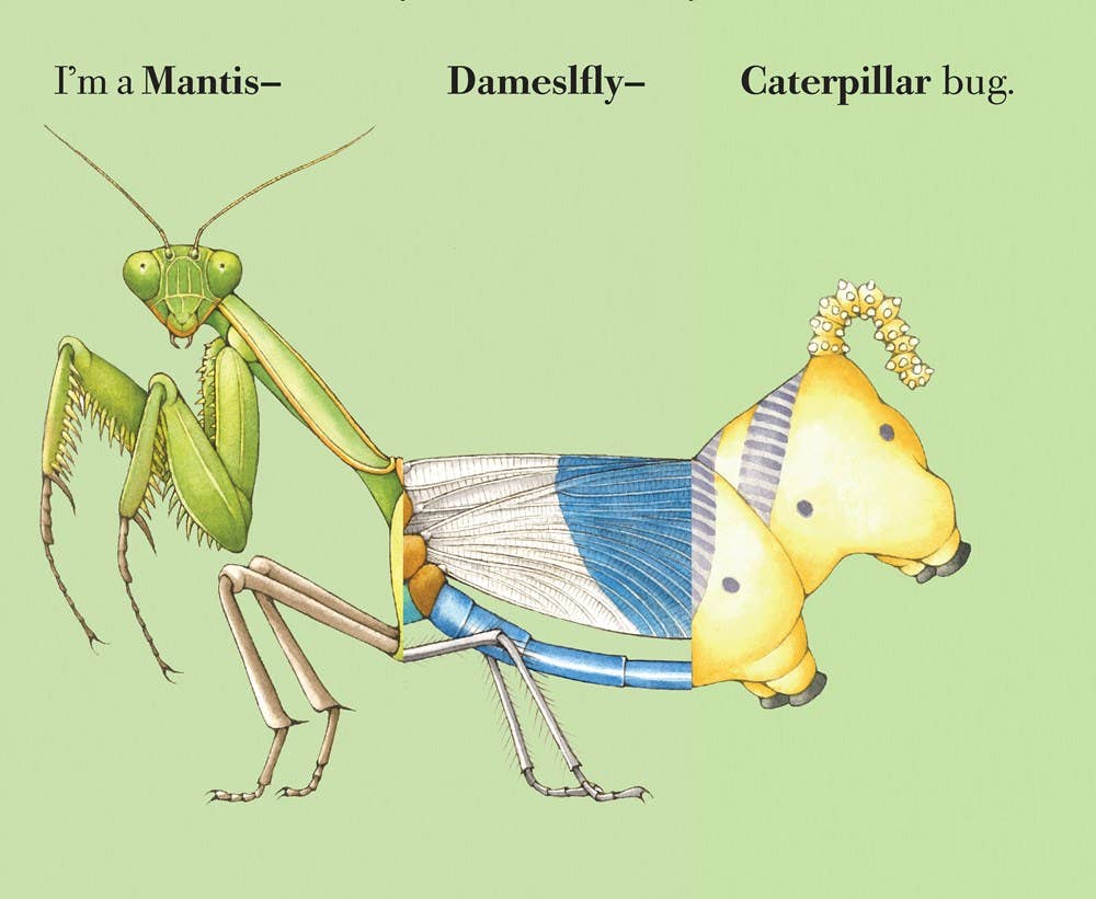 W. W. Norton - Wholesale Coloring & Activity Book - Kids & Baby - Build-A-Bug2